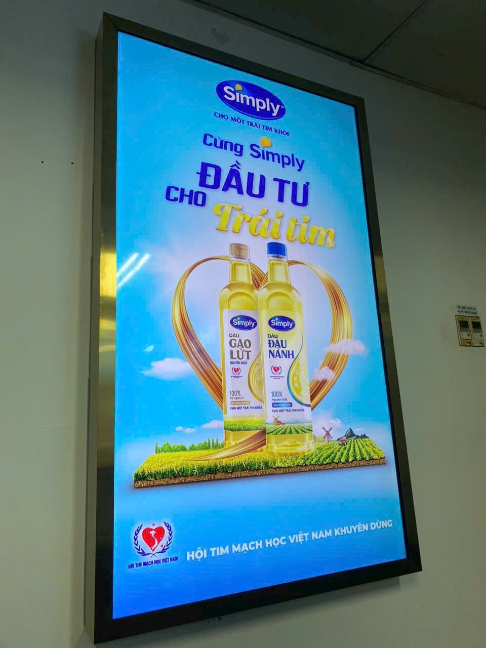 thi công hộp đèn TPHCM
